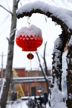 树木积雪