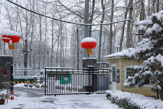 雪后公园门口