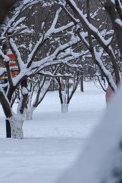 雪后风景