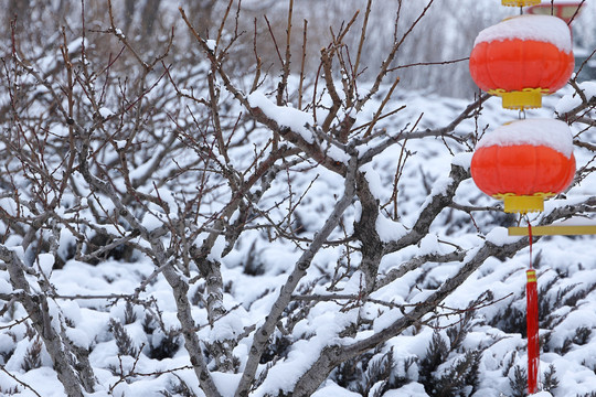 雪后景色