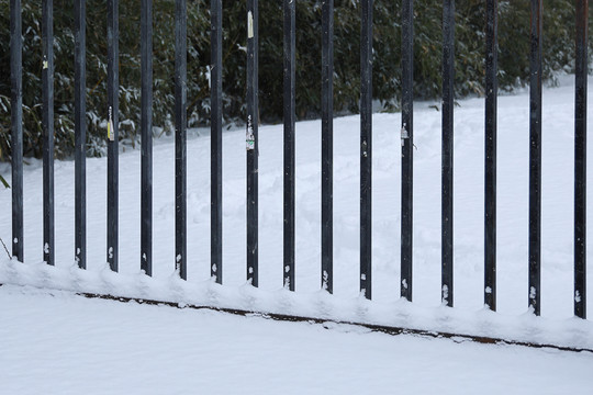 雪后栏杆