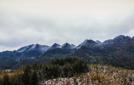 雪景