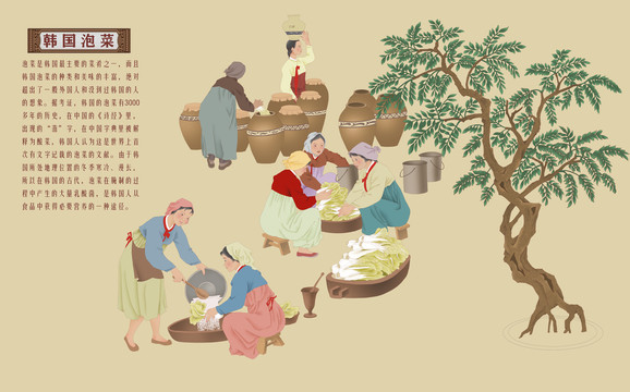 韩国泡菜手绘美食插画