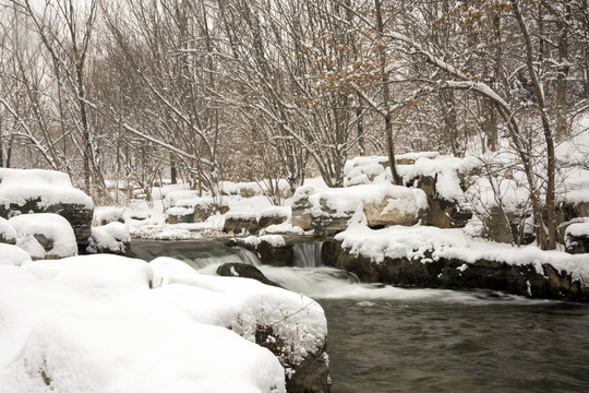 雪中溪流