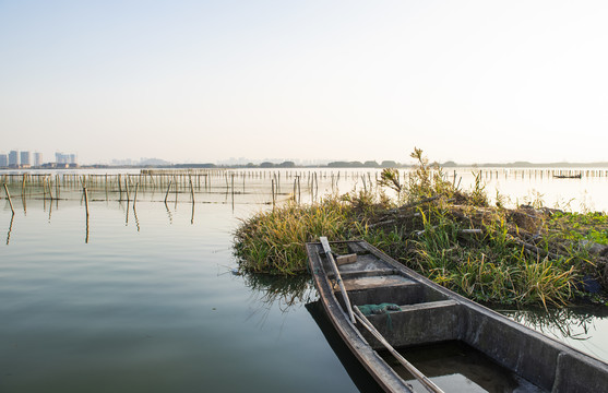 绍兴湿地淡水养殖