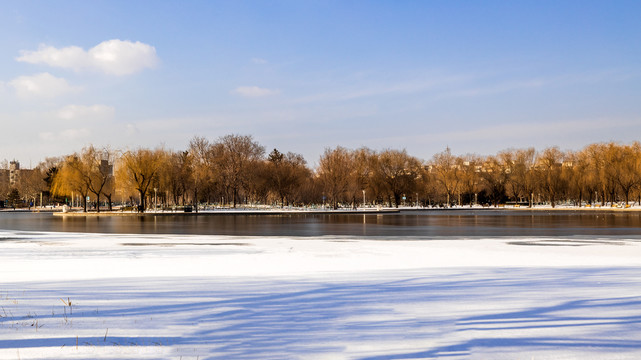 雪后的泰丰公园