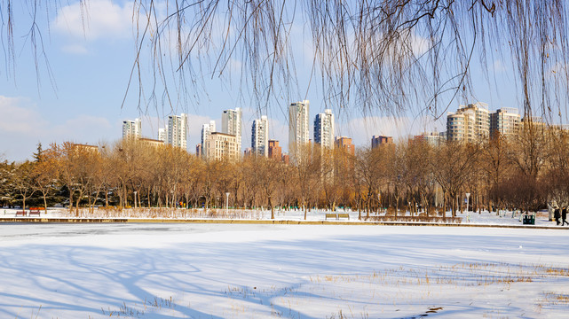 雪后的泰丰公园