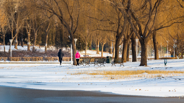 雪后的泰丰公园