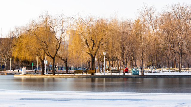 雪后的泰丰公园