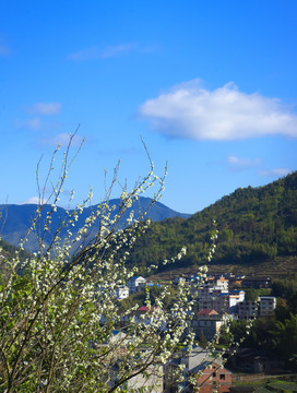 山桃花后的山野乡村春光