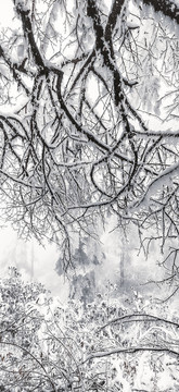 瓦屋山雪景