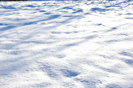 白雪覆盖下的田野