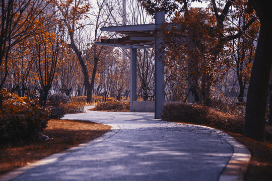 闵行翠钰南路步道