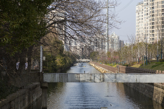 闵行翠钰南路