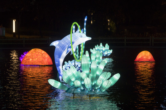 灯光艺术跃出水面的海豚