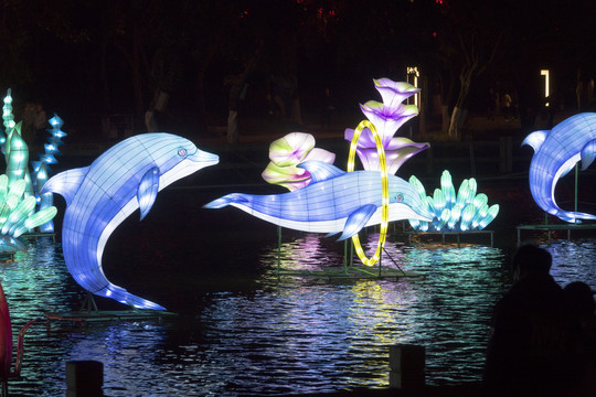 灯光艺术海洋动物表演
