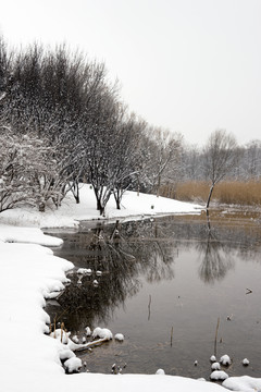 雪天池塘
