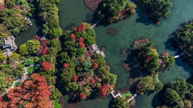 航拍西溪湿地