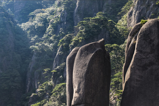 三清山奇石