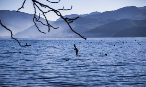 水墨泸沽湖