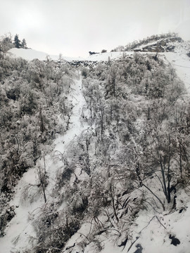 雪山