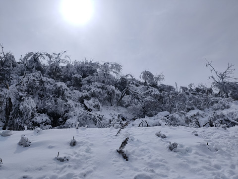 雪山