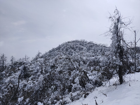 雪景素材