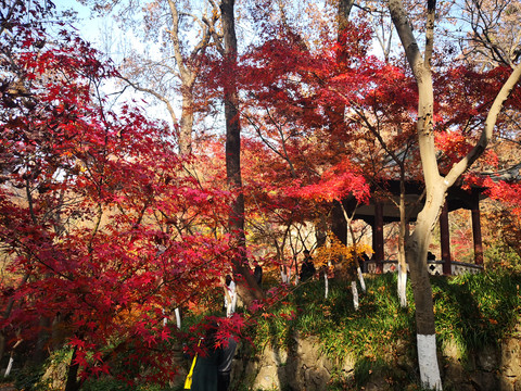 南京栖霞山景色