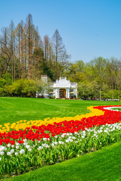 杭州太子湾公园春景