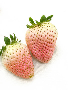 两颗白草莓