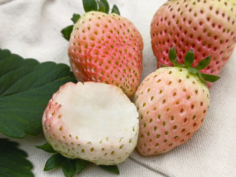 新鲜白草莓