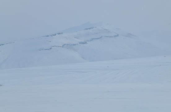 雪原