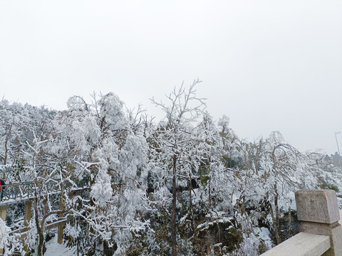 张家界雪景