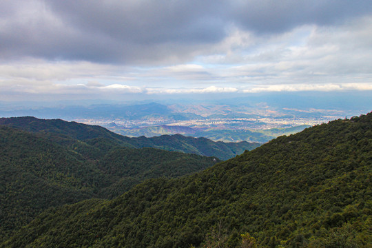 莲花山