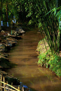 湿地公园小景