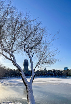 雪后清晨的北京大学博雅塔