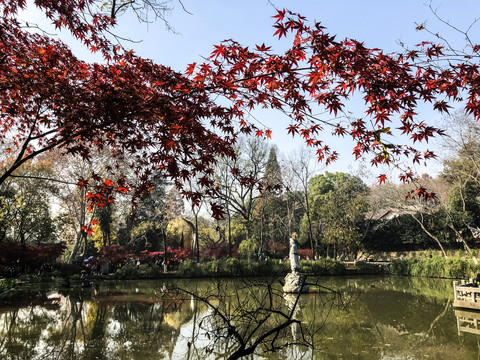 南京栖霞寺风景红色枫叶