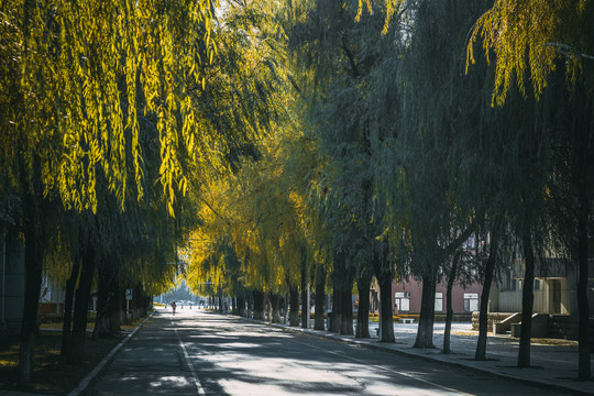 吉林医药学院校区