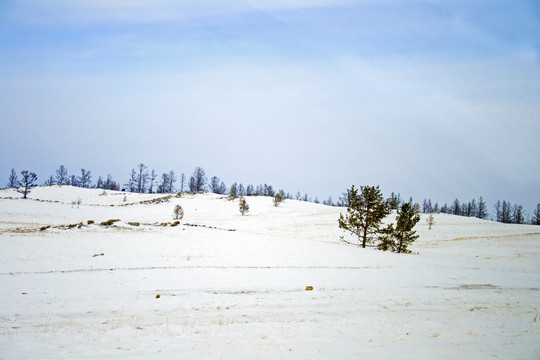 西伯利亚的冬天