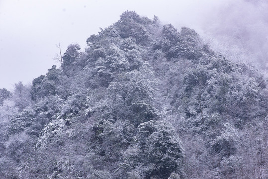 雪山雪景白雪飘飘雪花