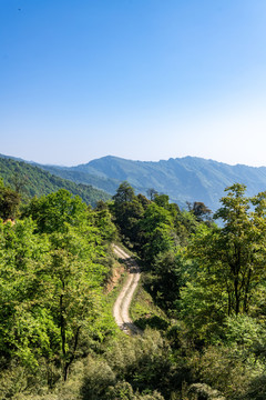 高山机耕道路竖构图