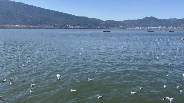 滇池