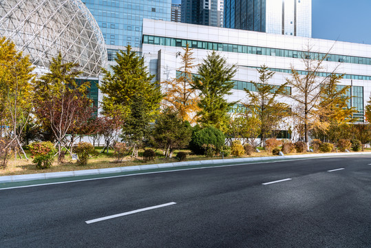 秋天城市银杏树道路背景