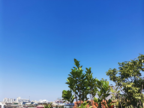 天台远眺