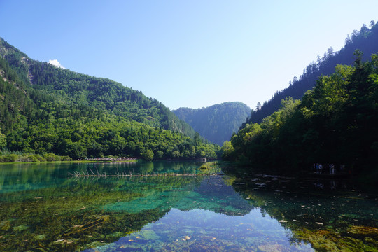 夏季九寨沟风光