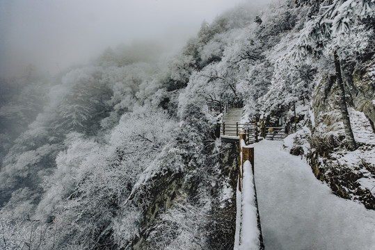 老君山的雪