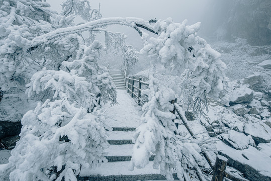 老君山的雪