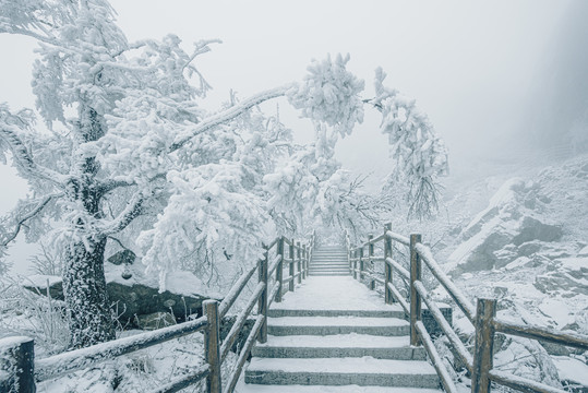 老君山的雪