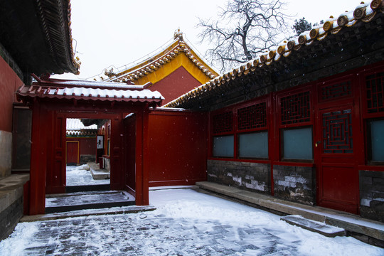 北京故宫雪景