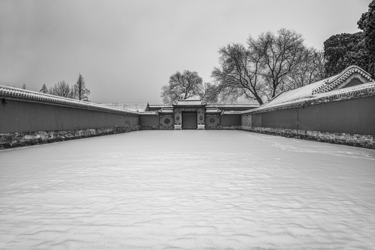 北京故宫慈宁宫花园雪景